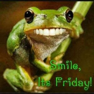 Meet your Posher, Lori